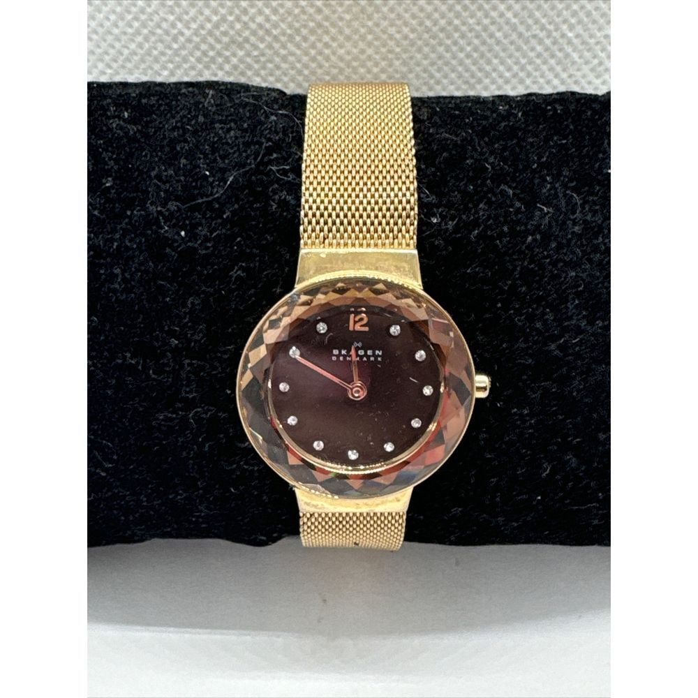 Skagen Leonora 456SRR1 Womens Rose Gold-Tone Steel Mesh Analog Dial Watch AEA155